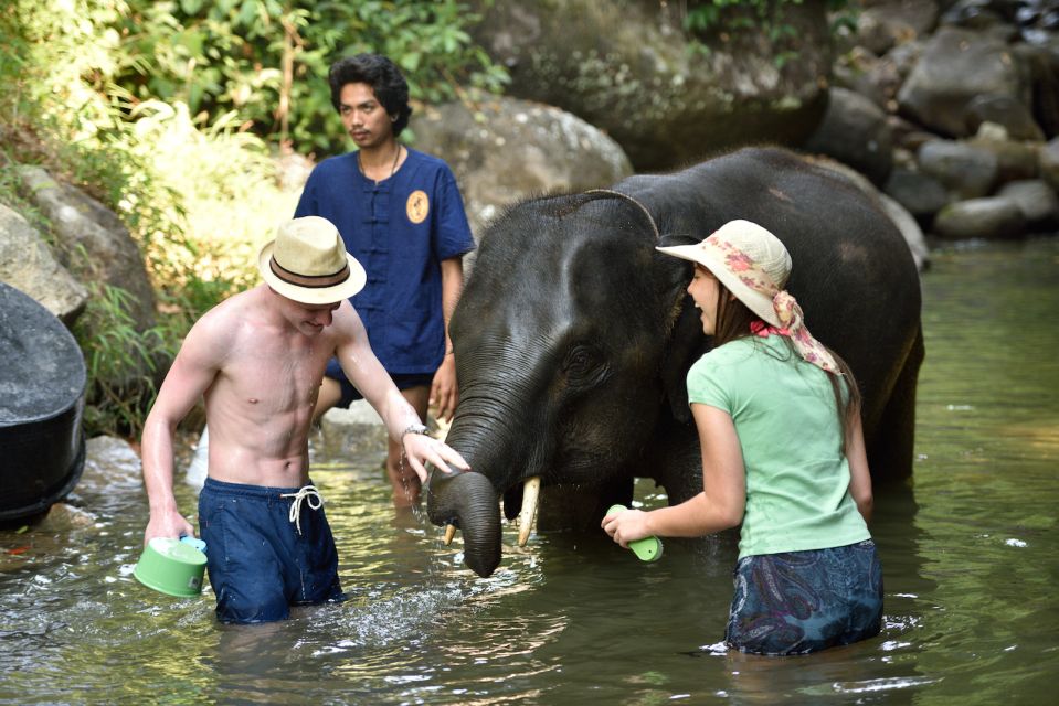 elephant ride phuket